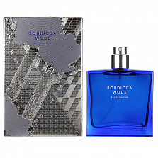 The Beautiful Mind Series Boudicca Wode