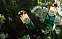 Electimuss Patchouli of the Underworld фото 4