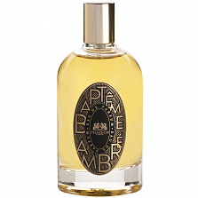 Phaedon Bapteme Ambre