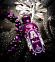Attar Collection Azalea фото 8