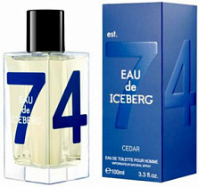 Iceberg Eau de Iceberg Cedar Pour Homme