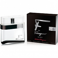 Salvatore Ferragamo F by Ferragamo Black