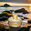 Vilhelm Parfumerie 125Th & Bloom (Harlem Bloom) фото 5