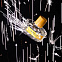 Vilhelm Parfumerie Sparkling Jo фото 8