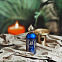 Attar Collection Azora фото 8