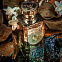 Electimuss Persephone's Patchouli фото 6