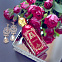 Attar Collection Hayati фото 7