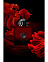 Amouage Lyric Woman фото 3