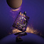 Escentric Molecules Molecule 01 + Black Tea фото 3