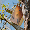 Memo Eau de Memo фото 6