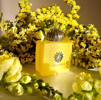 Amouage Love Mimosa фото 3