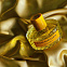 Vilhelm Parfumerie Fleur Burlesque фото 10