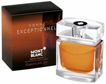 Mont Blanc Exceptionnel Homme 