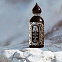 Attar Collection The Queen of Sheba фото 7